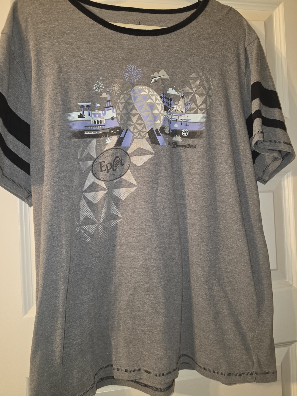 Epcot Gray Graphic T‑Shirt